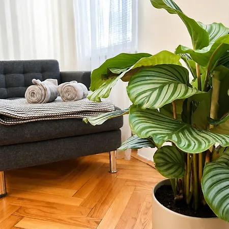 Premium - Free Parking And Balcony Apartment *